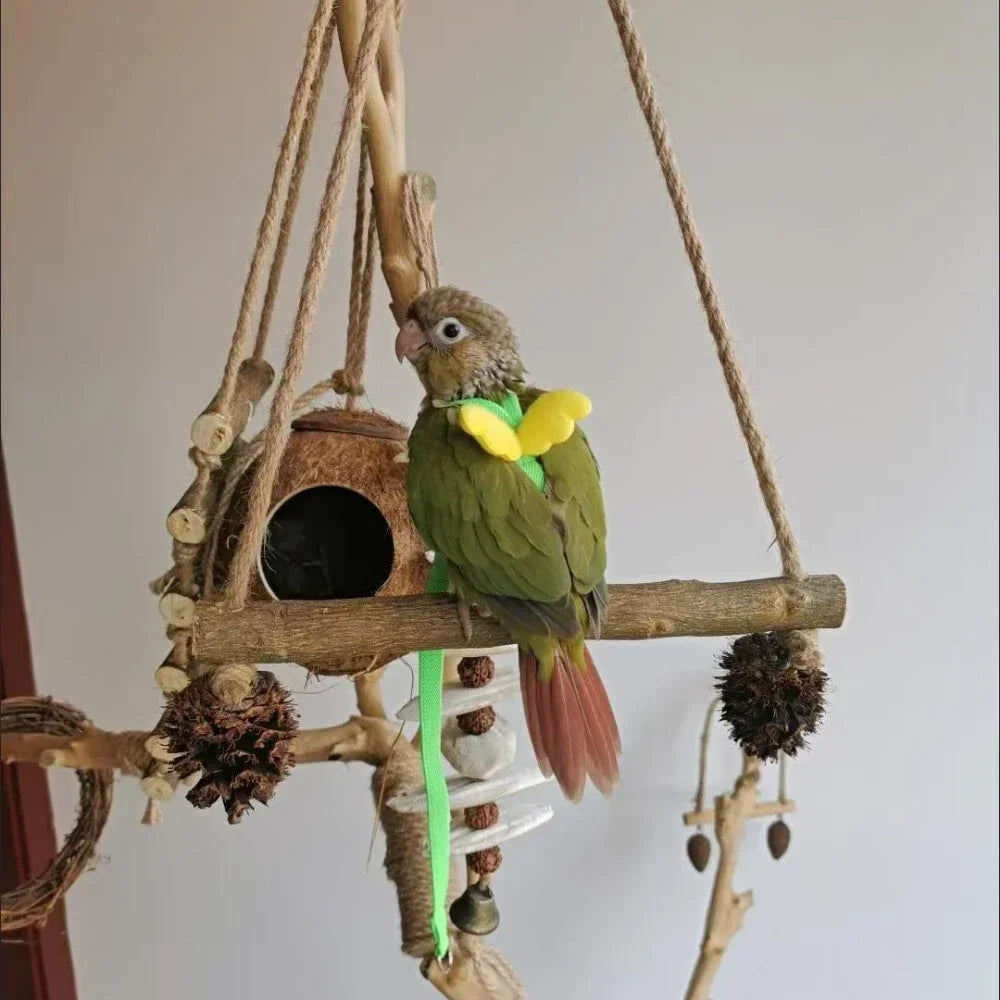 A small green parrot is perched on a wooden bird training harness and leash set.