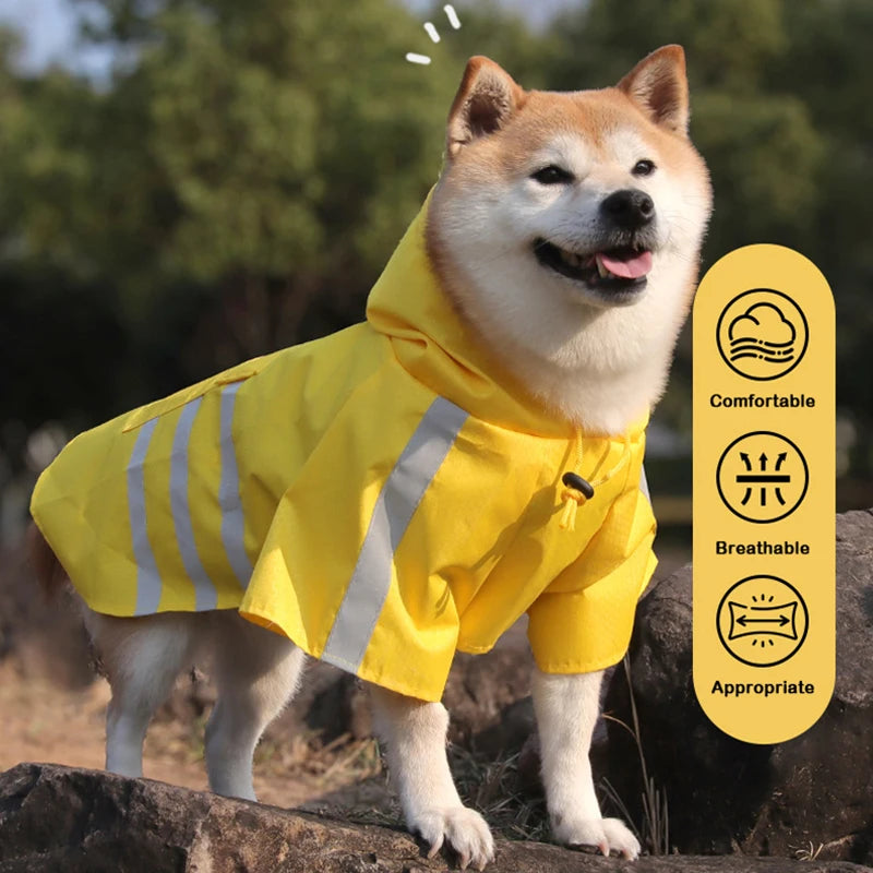 Ein flauschiger Shiba Inu trägt einen gelben wasserdichten reflektierenden Regenmantel im Freien.