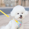 A white poodle wearing a blue and white striped bust camisole dog harness and leash set.
