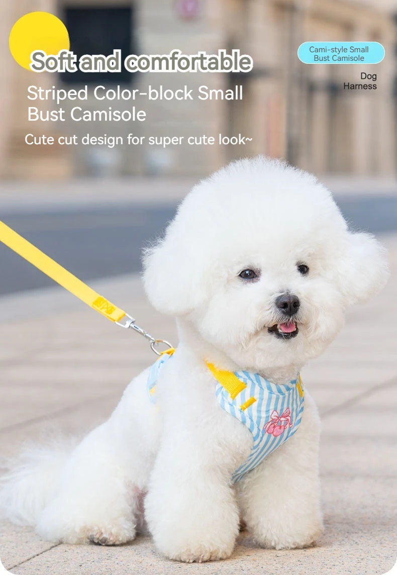 A white poodle wearing a blue and white striped bust camisole dog harness and leash set.