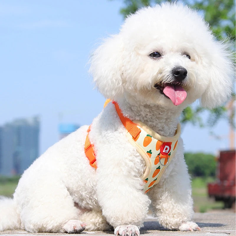 A fluffy white dog wearing an orange and yellow pet harness is sitting outdoors.