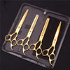 A set of professional stainless steel pet grooming scissors displayed in a black zippered pouch.