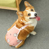 Glücklicher orange und weißer Hund mit pinkem, verstellbarem Schultergurt.