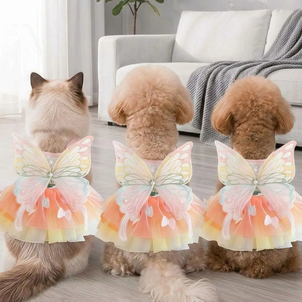 A fluffy dog wearing a rainbow butterfly pet dress sitting on the floor.