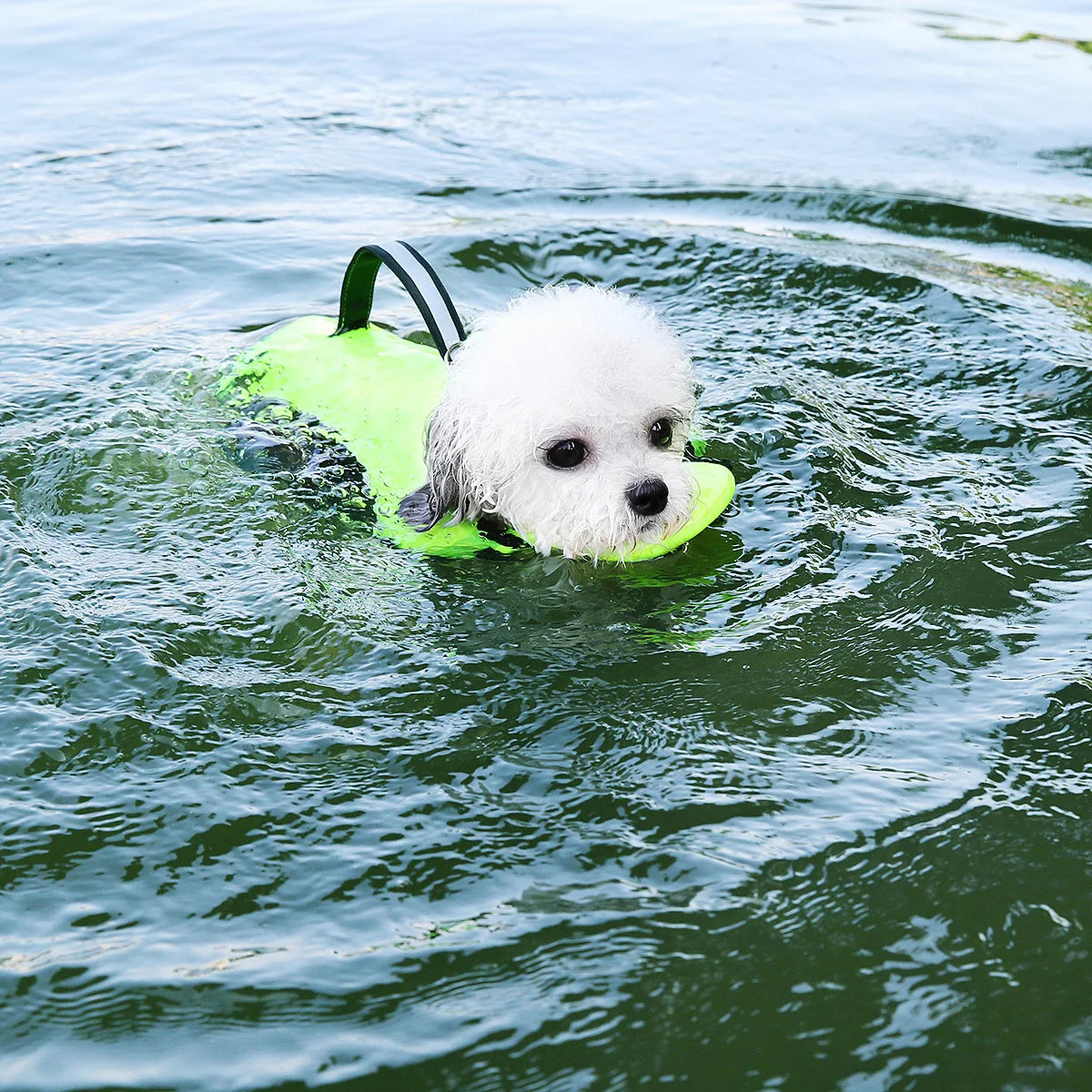 A white dog is floating on green life vest in water.