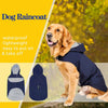 A golden retriever wearing a navy blue waterproof dog raincoat, with product options shown below.