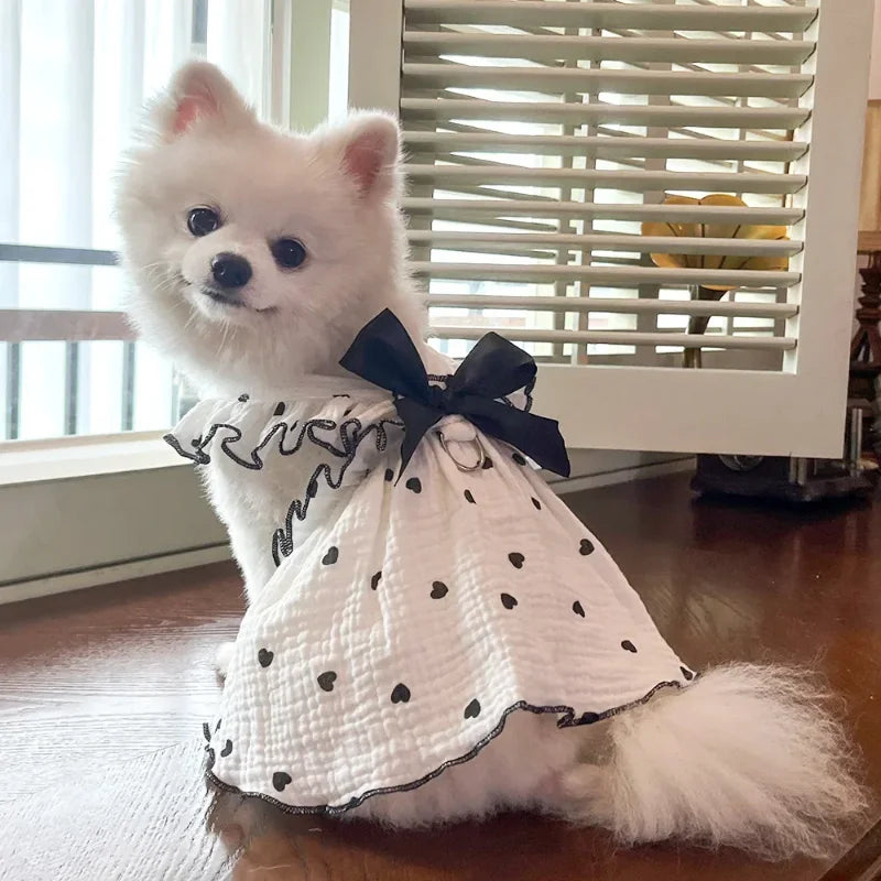 Ein flauschiger weißer Hund in einem Sommerherzmuster-Kleid mit schwarzer Schleife auf einer Holzoberfläche.