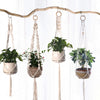 Macrame plant hangers with various potted plants hanging from a wooden branch for indoor and outdoor decor