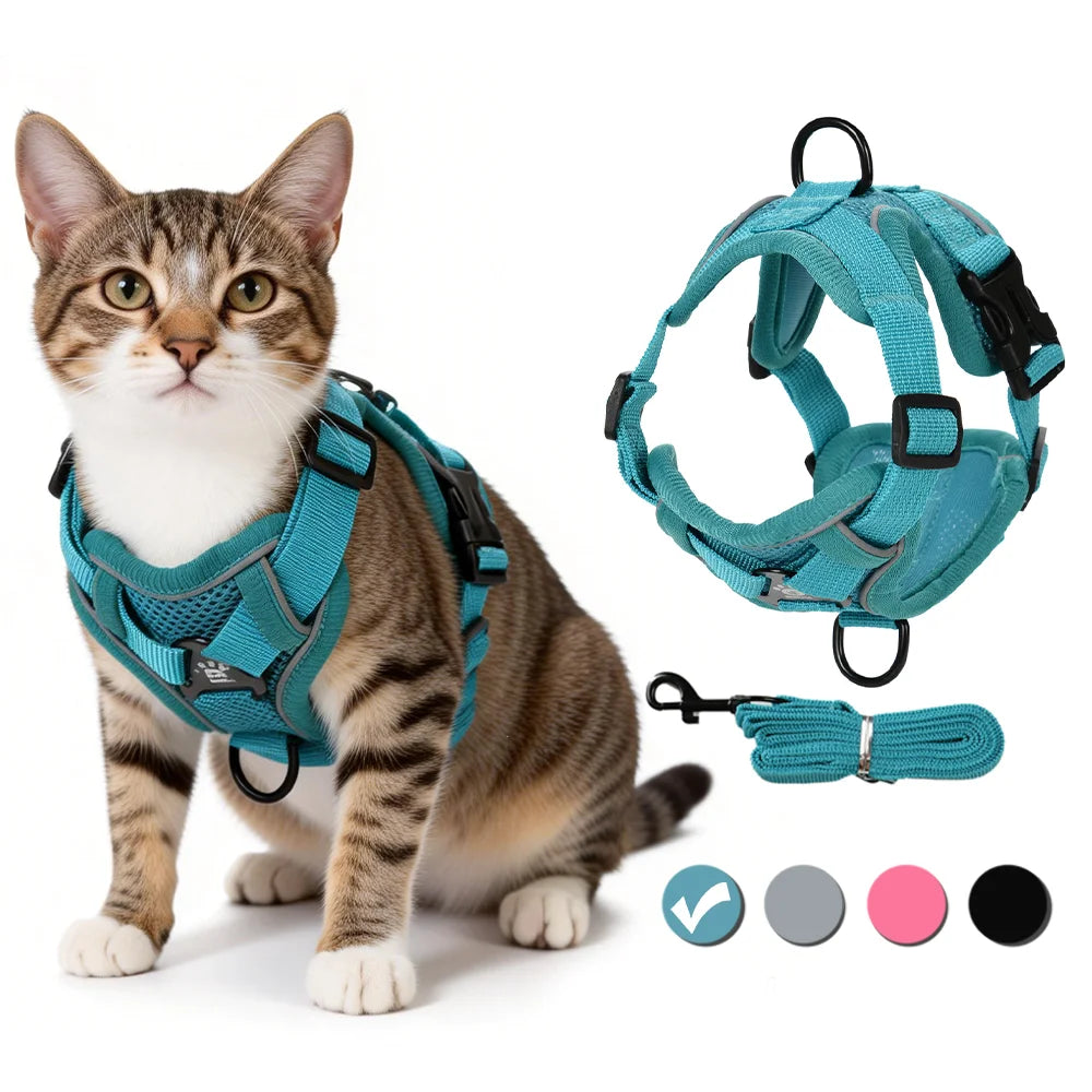 A tabby cat wearing a teal harness and leash, with an adjustable blue dog harness shown separately.
