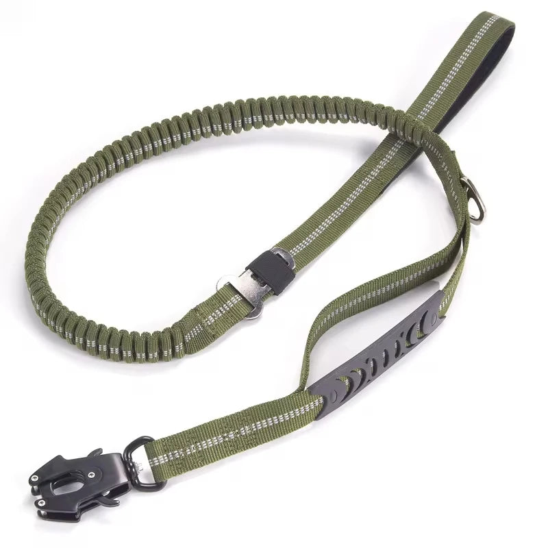Olive green reflective bungee dog leash with a car seatbelt clip.