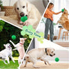 Collage de perros jugando y mordiendo un juguete de perro verde y chirriante durante el juego.