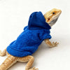 A bearded dragon wearing a royal blue hooded sweatshirt and tan skin.