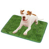 A light-colored dog is standing on a green artificial grass training mat.