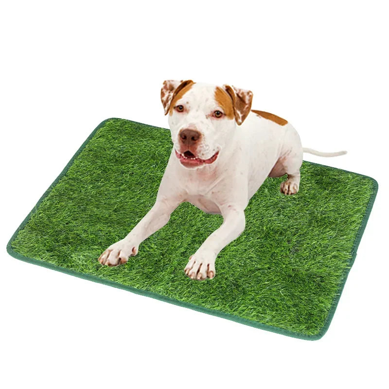 A light-colored dog is standing on a green artificial grass training mat.