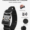 A black professional pet collar with a stainless steel buckle, padded underside, and burr design.