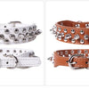 A set of adjustable leather spiked dog collars in silver and tan colors with buckle closures.