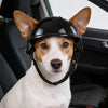 Un perro vistiendo un casco de seguridad para mascotas negro mirando directamente a la cámara dentro de un coche.