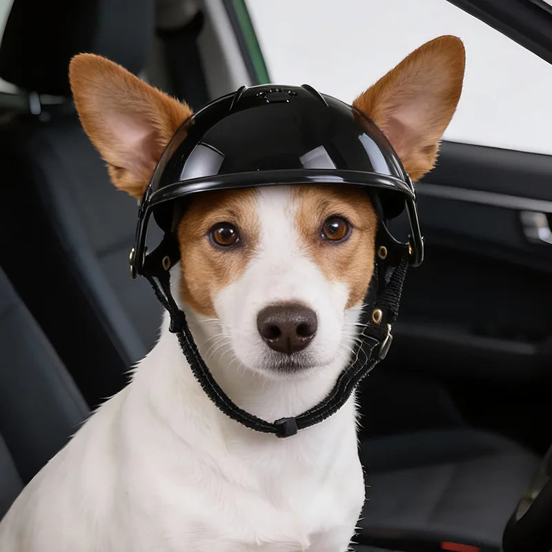 Un perro vistiendo un casco de seguridad para mascotas negro mirando directamente a la cámara dentro de un coche.