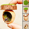 A hand holds a wooden shell containing moss and green grass, with a separate magnetic spider hide decor piece shown nearby.