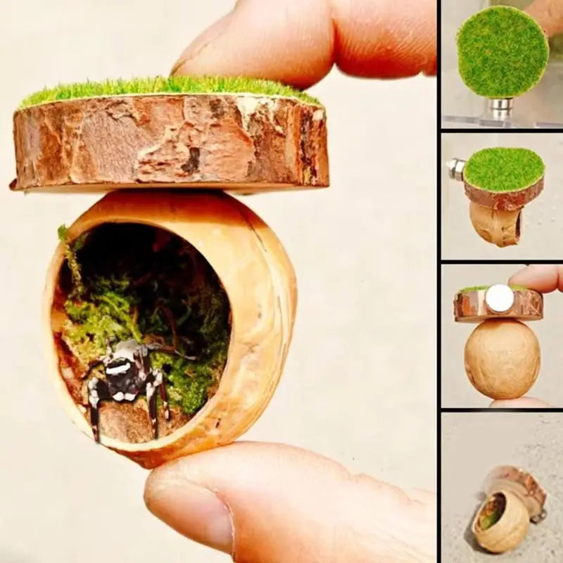 A hand holds a wooden shell containing moss and green grass, with a separate magnetic spider hide decor piece shown nearby.