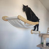 A black cat is perched on a wooden modular cat wall shelf featuring a bridge and hammock.