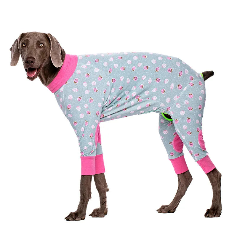 A brown dog wearing light blue patterned cotton pajamas with pink trim.