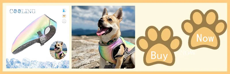 A dog wearing a colorful evaporative cooling vest and reflective harness outdoors.