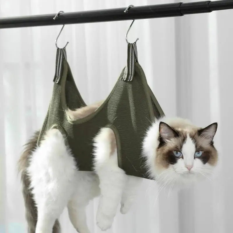 Ein flauschiger Kater hängt an einem grünen Pflegematratze, der an einem schwarzen Stab aufgehängt ist.