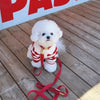 A white fluffy dog wearing a red and white striped hoodie and leash on a wooden deck.