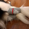 A dog's paw resting on a gray knee pad with a red detail, showing joint protection and floor traction.
