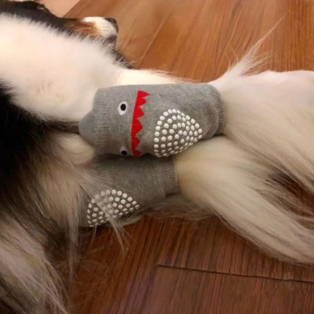 A dog's paw resting on a gray knee pad with a red detail, showing joint protection and floor traction.
