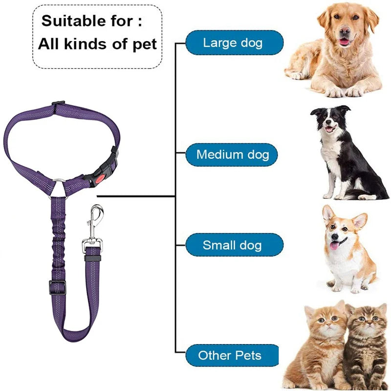 Arnés ajustable morado para mascotas, con ilustraciones de perros y gatos clasificados por tamaño.