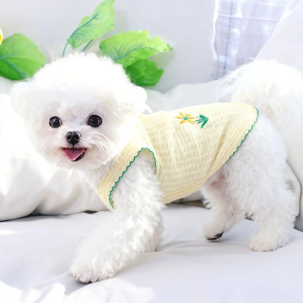 A fluffy white dog wearing a yellow summer thin strap pet collar with a green embroidered leaf design.