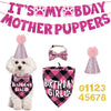 Banner con huella de pata rosa y texto brillante, junto a un juguete blanco esponjoso para perro