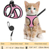 Un pequeño gatito atigrado naranja vistiendo un arnés de mascota rosa y mirando a la cámara.