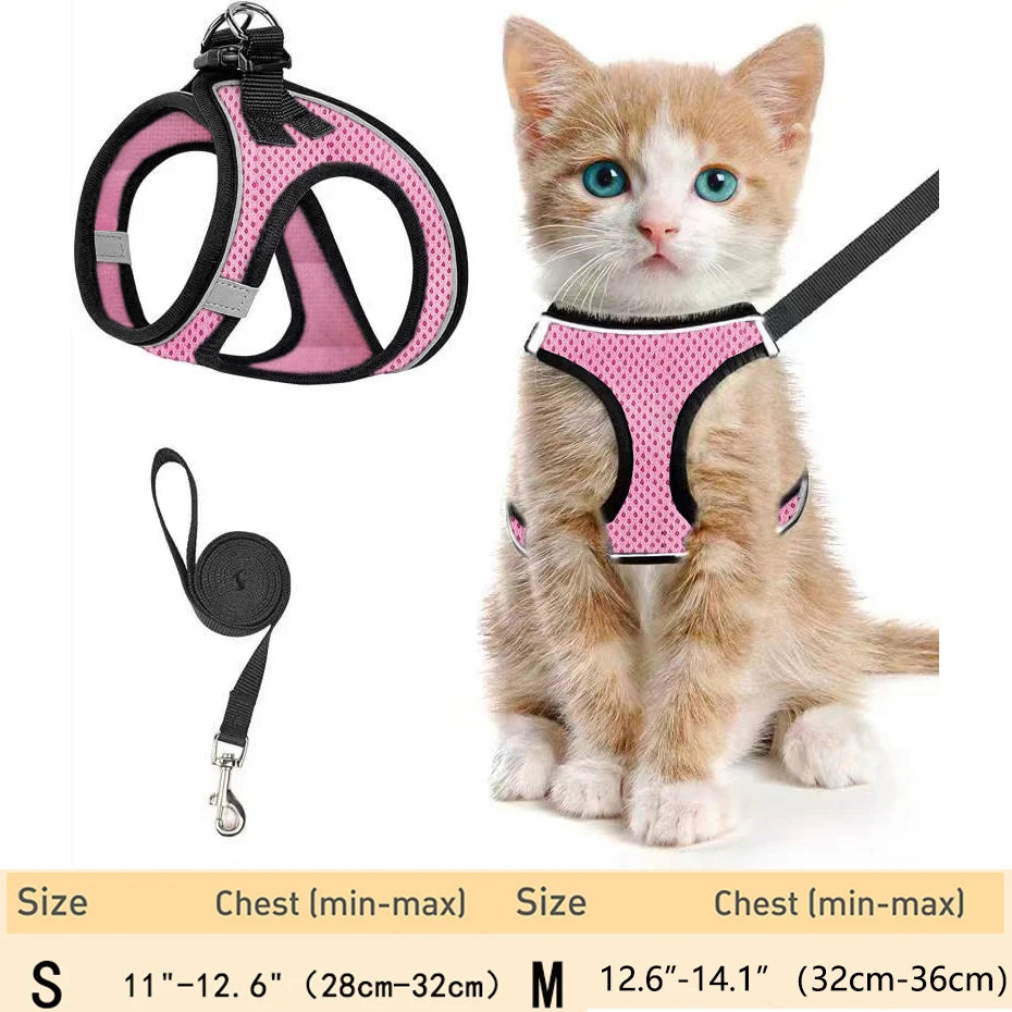 Un pequeño gatito atigrado naranja vistiendo un arnés de mascota rosa y mirando a la cámara.
