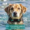 A golden retriever wearing an underwater waterproof collar is shown in choppy water.