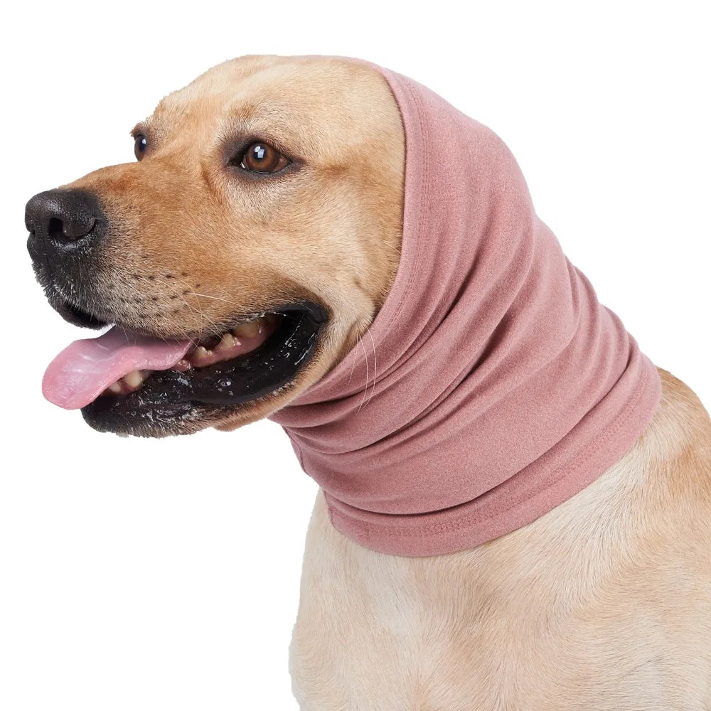 A light-colored dog wearing a pink soothing earmuff for sensitive ears.