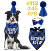 Un chien noir et blanc portant un chapeau de fête bleu, avec des nœuds papillons bleus et une étiquette de garçon d'anniversa
