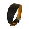 A black leather dog collar with a tan leather strap and silver buckle.