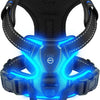 A black dog harness with bright blue LED lights glowing around the straps and buckle.