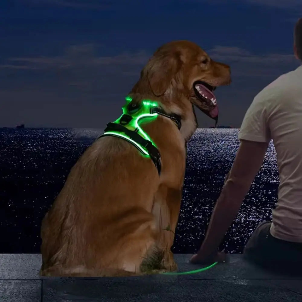 A brown dog wearing a glowing green LED harness with reflective strips, standing outdoors at night.