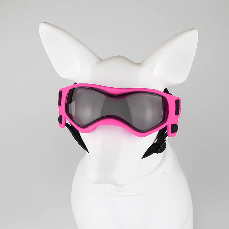 Ein weißer Hundekopf mit leuchtend pinken Sonnenbrillen und schwarzen Markierungen.
