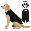 A golden retriever wearing a black tuxedo vest and bowtie collar, with a separate black bowtie displayed.