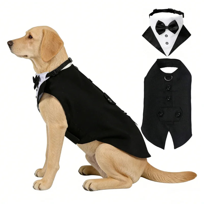 A golden retriever wearing a black tuxedo vest and bowtie collar, with a separate black bowtie displayed.