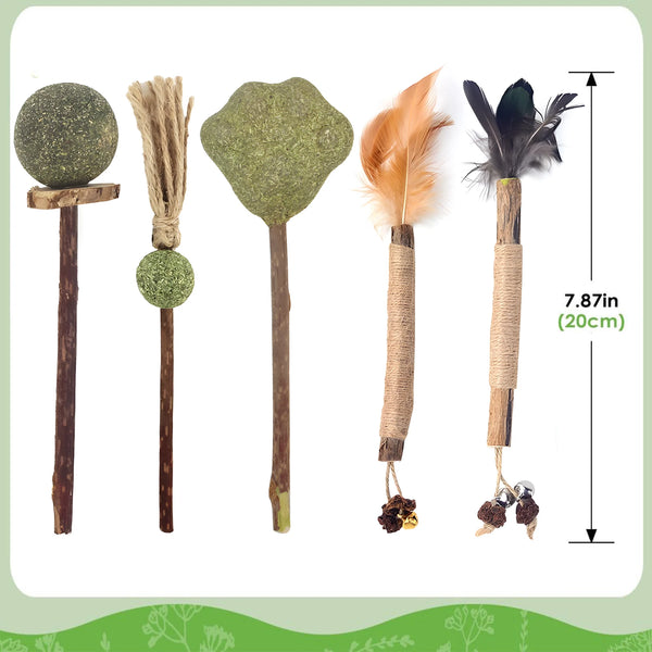 Five natural silvervine cat chew sticks of varying sizes and textures displayed vertically.