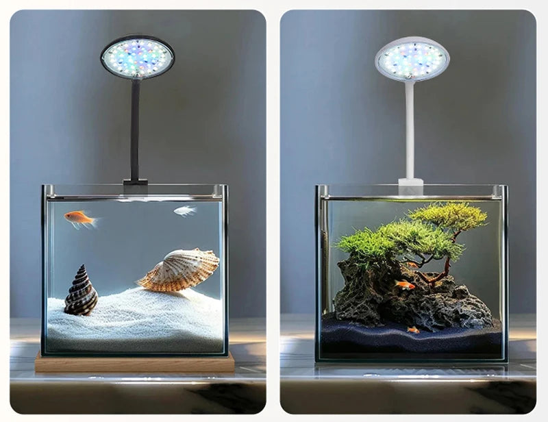 Klares Glasaquarium mit Fisch und Muschel, beleuchtet durch eine weiße LED-Leuchte.
