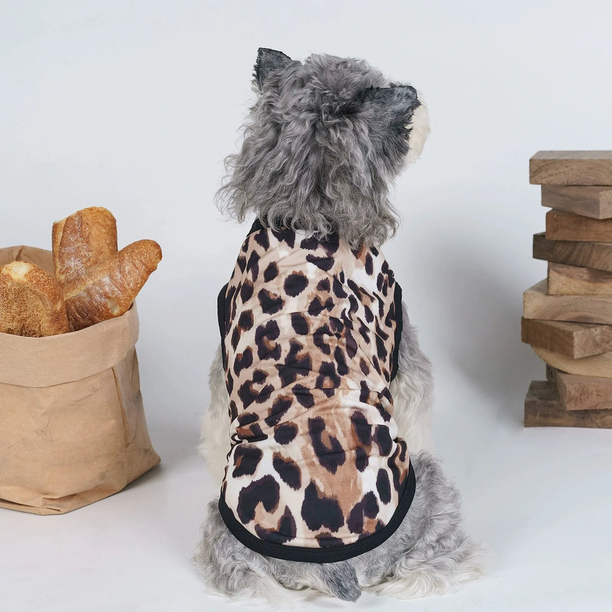A fluffy gray pet wearing a leopard print vest, sitting next to a loaf of bread.