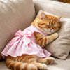 Ein flauschiger, orange tabby Cat schläft auf einem hellen Sofa in einem rosa karierten Sommerkleid.