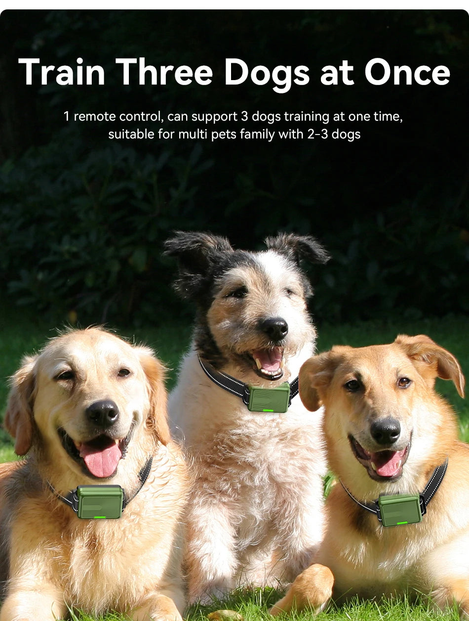 Three dogs wearing electric training collars are pictured outdoors, demonstrating multi-dog training capability.
